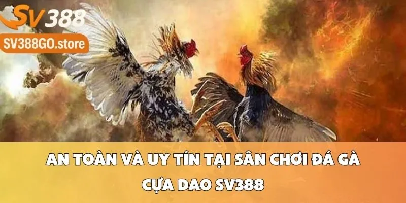 An Toàn Và Uy Tín Tại Sân Chơi Đá Gà Cựa Dao SV388