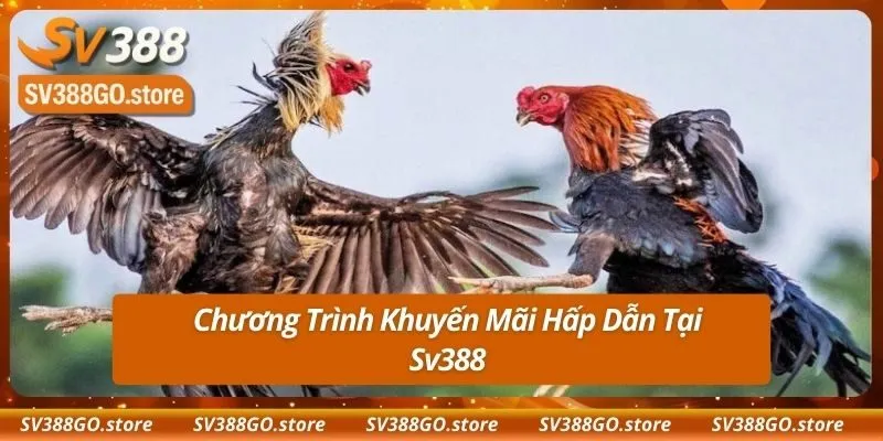 Chương Trình Khuyến Mãi Hấp Dẫn Tại Sv388