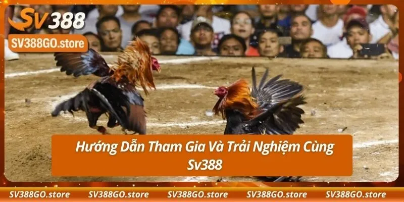 Hướng Dẫn Tham Gia Và Trải Nghiệm Cùng Sv388
